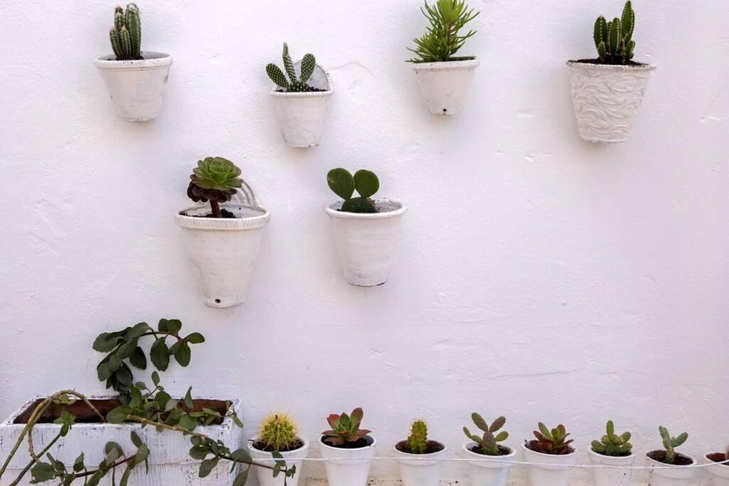 Castilla Triana Courtyard By Valcambre Seville Ngoại thất bức ảnh