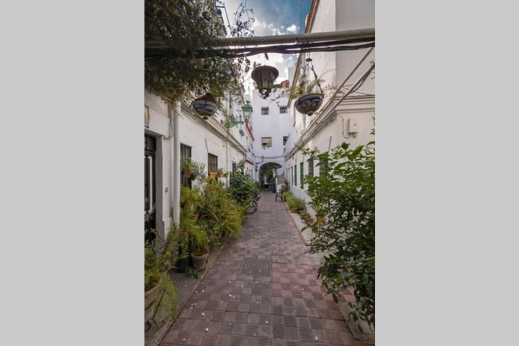 Castilla Triana Courtyard By Valcambre Seville Ngoại thất bức ảnh